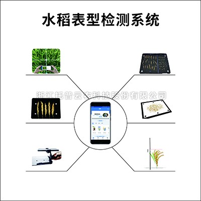 水稻表型检测仪 水稻表型检测仪