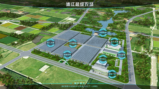 浦江超级农场：科技赋能让种植更高效
