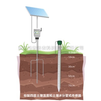 管式樱花视频污下载墒情监测仪TPGSQ-4