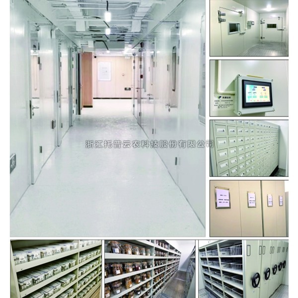 种质资源中期库介绍|什么是种质资源中期库？