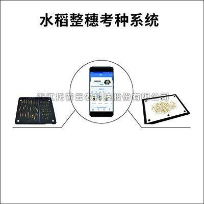 水稻整穗考种仪：一款基于图像识别技术的水稻整穗考种测量工具