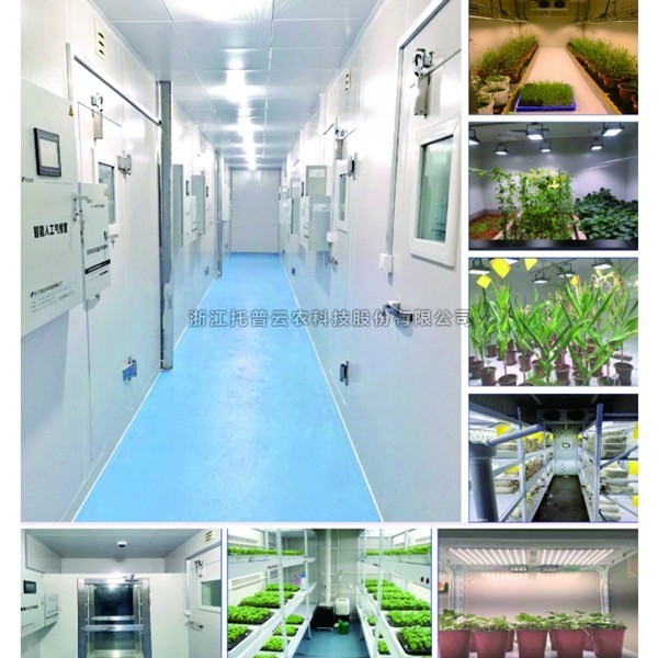 一文了解植物人工气候室是什么？
