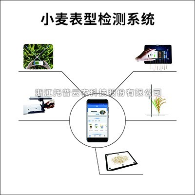 小麦表型检测系统：专业的小麦表型检测仪器