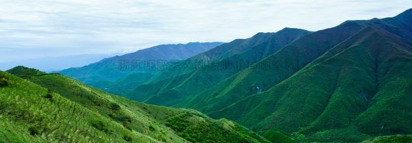 智慧护林有妙招，看太子山如何用科技守护森林