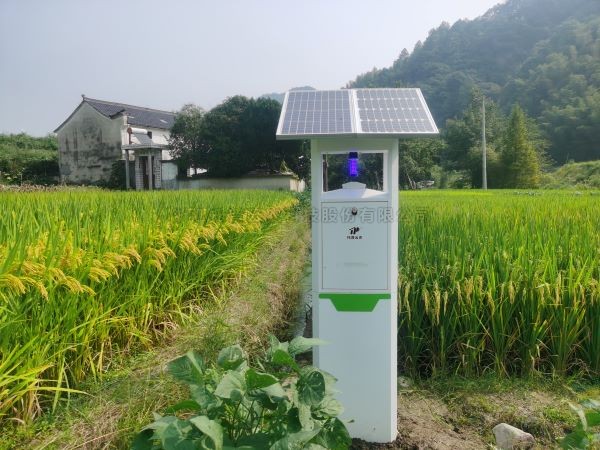从“新”出发！樱花视频在线小虫体智能测报系统迈向纵深发展新阶段