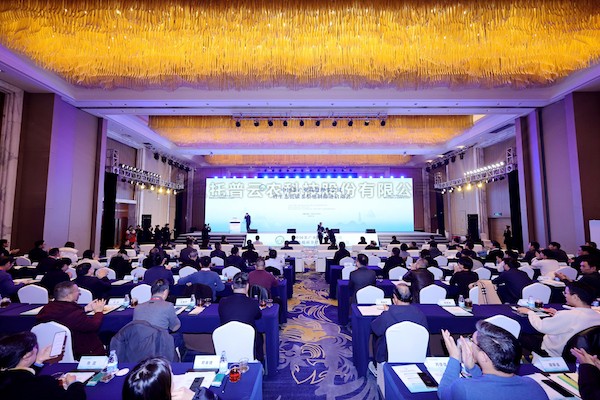 中国茶产业联盟第一届第六次理事会议召开，樱花视频在线数字赋能茶产业高质量发展
