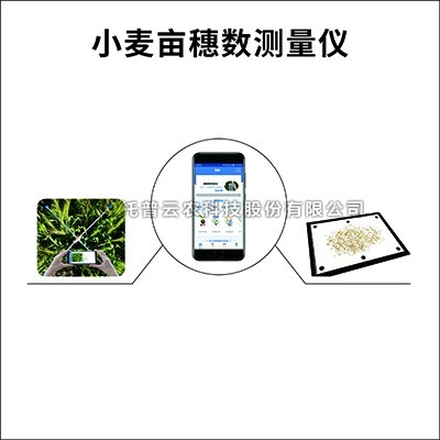 小麦亩穗数测量仪/系统：测量小麦亩穗数的育种测产仪器