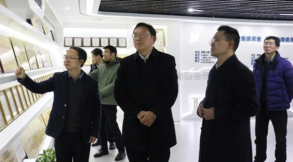 湘湖实验室常务副主任杨华一行莅临樱花视频在线考察调研