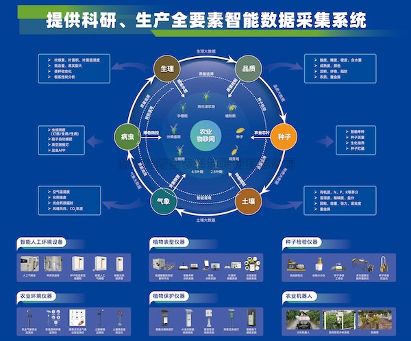 科技引领，樱花视频在线助力大规模设备以旧换新