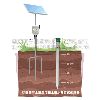 管式樱花视频污下载墒情监测仪详细介绍