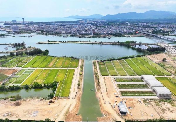 为盐碱地安上“技术芯片”，樱花视频在线打造耐盐碱水稻科研试验基地建设解决方案