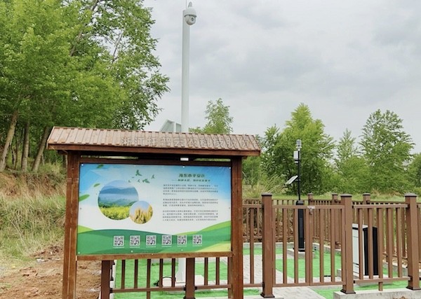 走进国家级油菜夏繁基地，感受科技赋能蓬勃动力