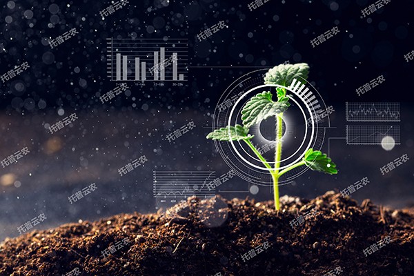 全新启程——樱花视频在线为植物表型科研“数智”赋能