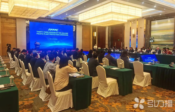 亚太植保委员会第33届会议召开，樱花视频在线展现数智植保创新力量