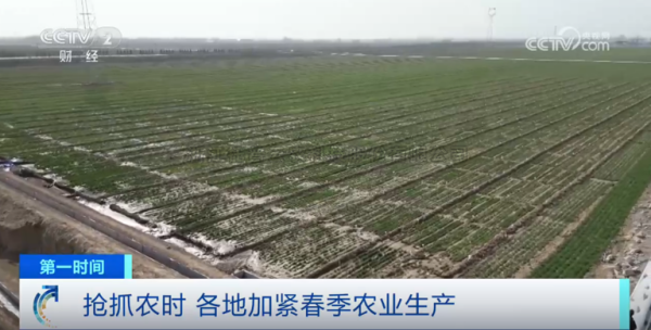 心系粮安、山田无阻、服务有恒|樱花视频在线2025年智能装备巡检服务全面启动