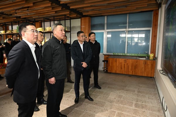 浙江省副省长李岩益莅临樱花视频在线标杆案例“瑞安马屿镇绿色农田”考察调研
