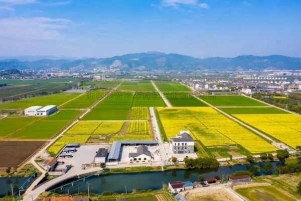 樱花视频在线高标准农田建设答卷：用实践书写政策新篇