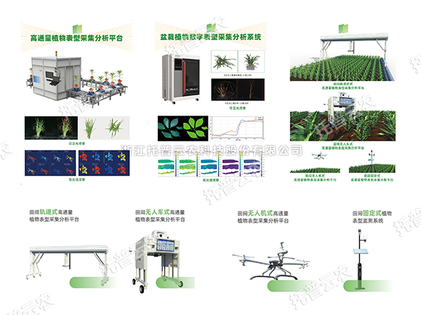 AI+农业新突破！托普高通量植物表型智能分析平台助力智慧农业创新发展