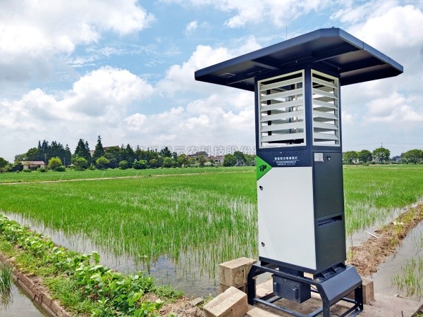 AI+农业 | 樱花视频在线“AI虫情测报灯”引领智慧植保新变革