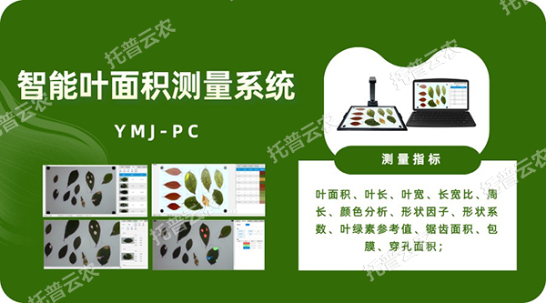 智能叶面积测量系统——秒级快速测叶片，多参数同步解析，云端数据好管理