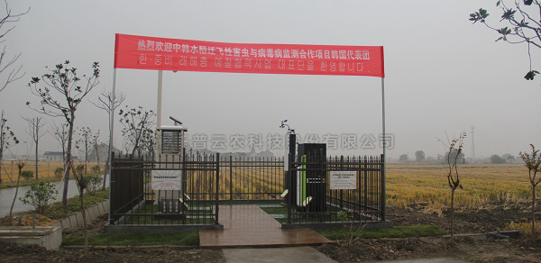 樱花视频在线水稻病虫害绿色防控智能监测设备