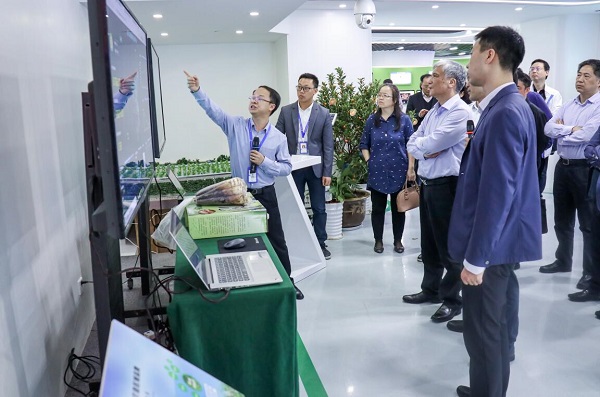全国人大常委会副委员长丁仲礼莅临樱花视频在线考察调研