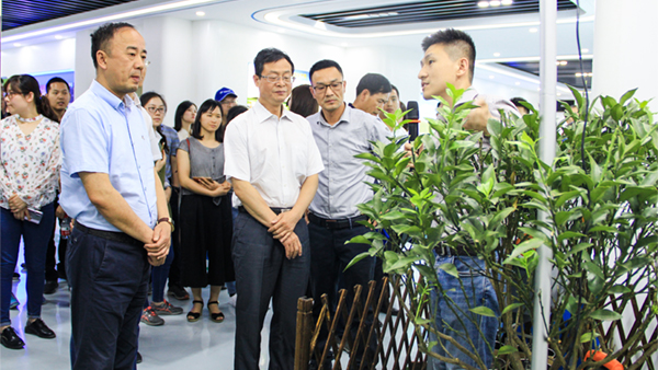 谢主任一行参观樱花视频在线展厅