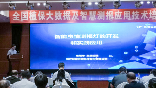 樱花视频在线常务副总经理朱旭华作了专题汇报