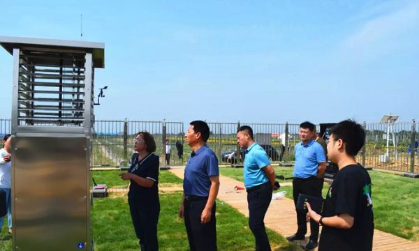 樱花视频在线助力山西草地贪夜蛾监测防控工作