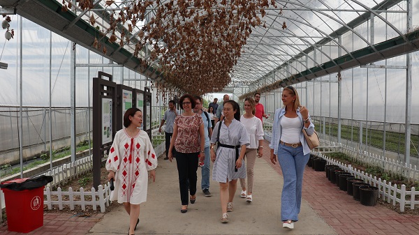 研修班一行来到由樱花视频在线与萧山农科所联合搭建的现代农业产业园进行考察