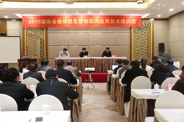 樱花视频在线服务湖南省植保信息技术培训班在杭开班