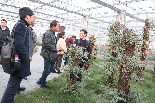培训班参观樱花视频在线临浦基地