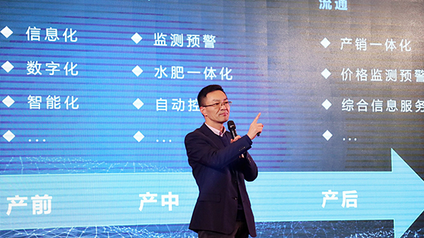 樱花视频在线陈渝阳董事长强调服务的重要性