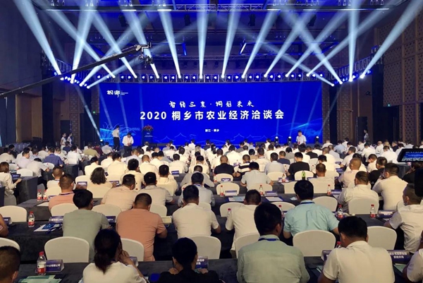 打造数字三农新模式，樱花视频在线与桐乡市人民政府签订战略合作协议