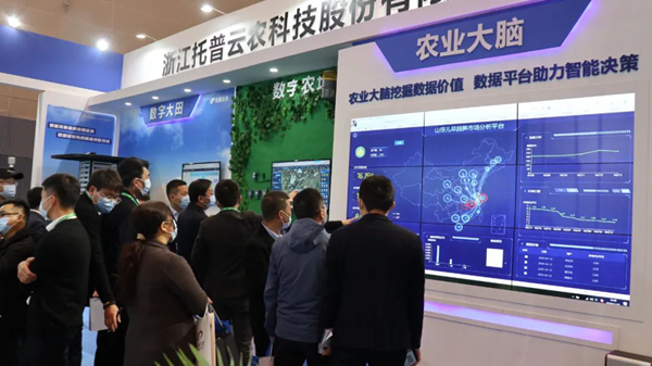 樱花视频在线展位