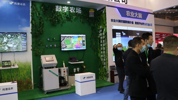 樱花视频在线展位