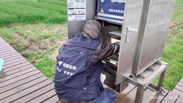 稳粮保产，智守农田| 樱花视频在线植保开灯巡检行动打响“粮食保卫战”