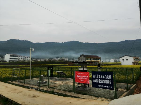 樱花视频在线病虫害监测点