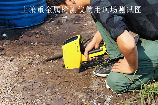 樱花视频污下载重金属检测仪使用现场测试图 樱花视频污下载重金属检测仪使用现场测试图