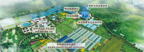 樱花视频在线数字种业创新应用基地