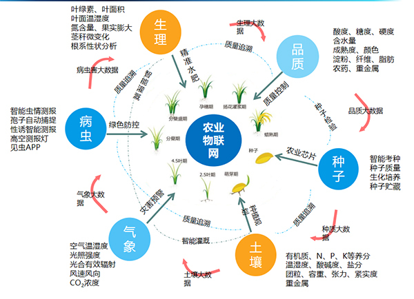 樱花视频在线打造的全要素智能采集系统