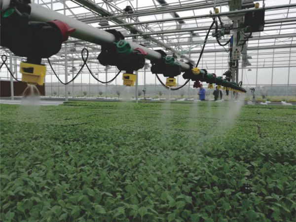 樱花视频在线打造的萧山农科所现代农业示范基地
