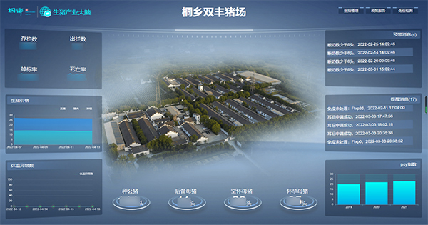 樱花视频在线打造的“生猪精密智管”社会化服务应用