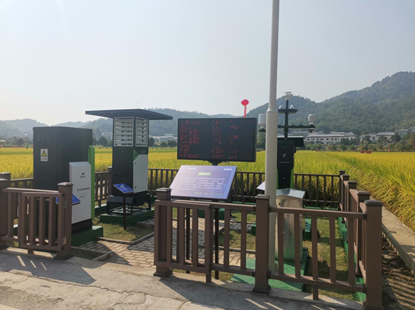 樱花视频在线农作物病虫害监测点