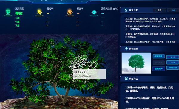 “云”上种颗杨梅树，农户照着养杨梅