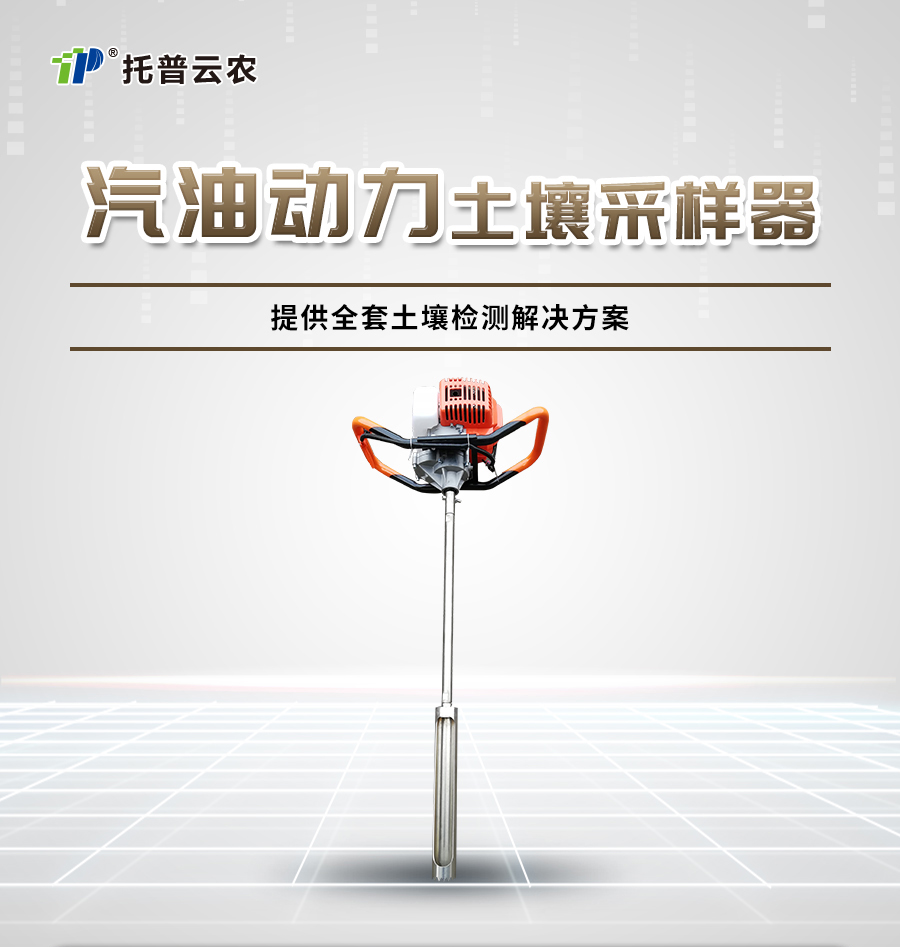 汽油动力樱花视频污下载采样器